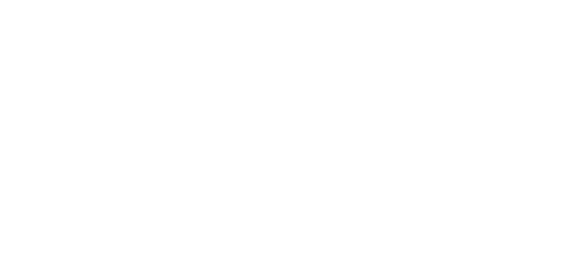Prima Shipping Group